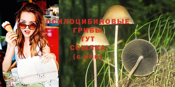 трава Саяногорск